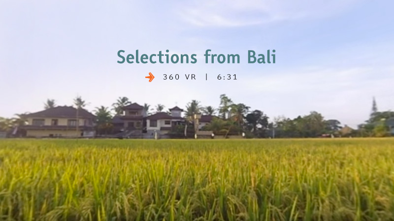 Selections from Bali